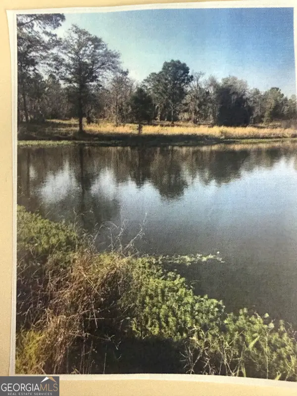 0 Henry-mimbs, Hazlehurst, GA 31539