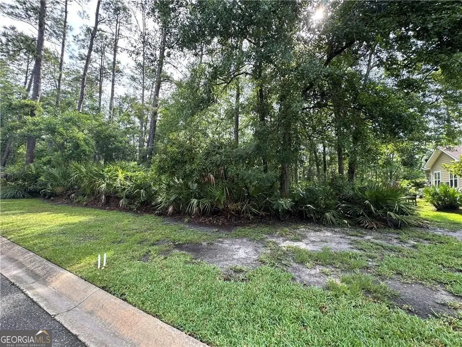 LOT 23-D Black Tern Way, Waverly, GA 31565 - #2