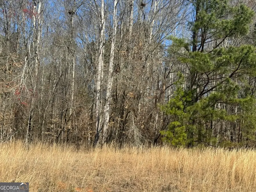 LOT 13 Mary Drive, Roanoke, AL 36274 - #3