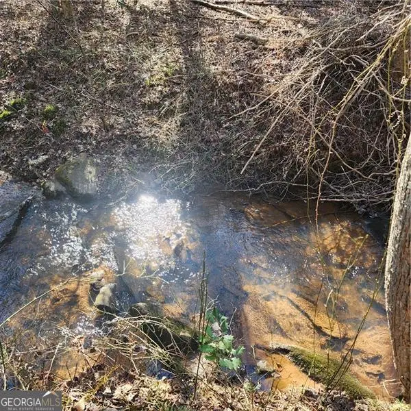 LOT 163 Lecroy Drive, Ellijay, GA 30540 - #3