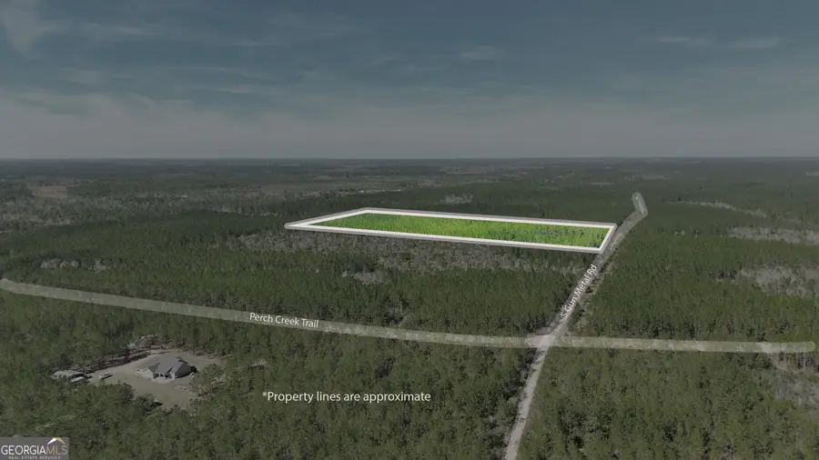 21 A Gun Metal Road, Manor, GA 31550 - #3