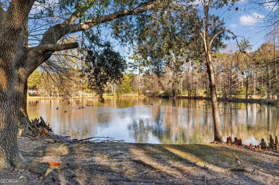 1063 Old Olive Branch Road, Ellabell, GA 31308 - #2