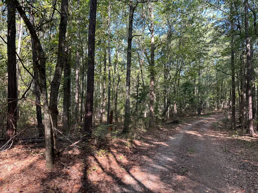 707 Pebblebrook Road #10.26 ACRES, Woodbury, GA 30293 - #2