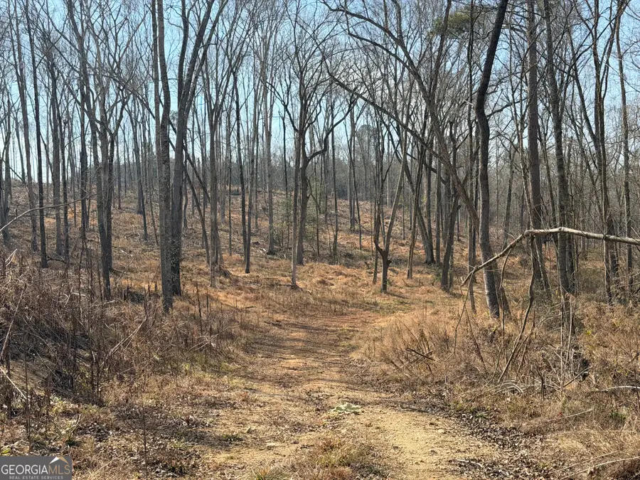 275 Emma Cooper Road, Carlton, GA 30627 - #3