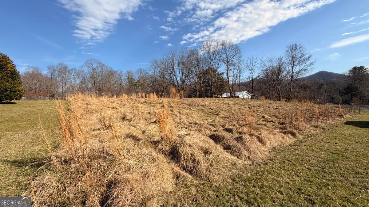 2402 Little John Lane, Hiawassee, GA 30546 - #1