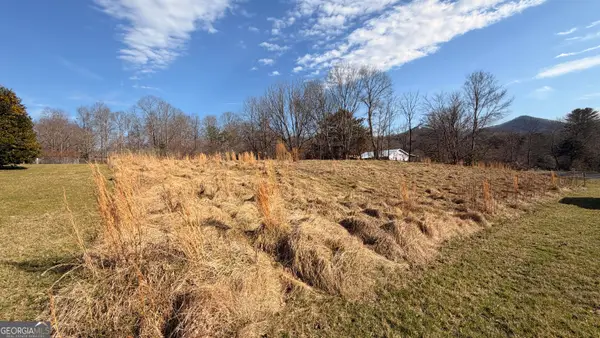 2402 Little John Lane, Hiawassee, GA 30546