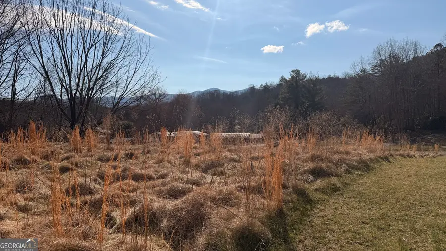 2402 Little John Lane, Hiawassee, GA 30546 - #2