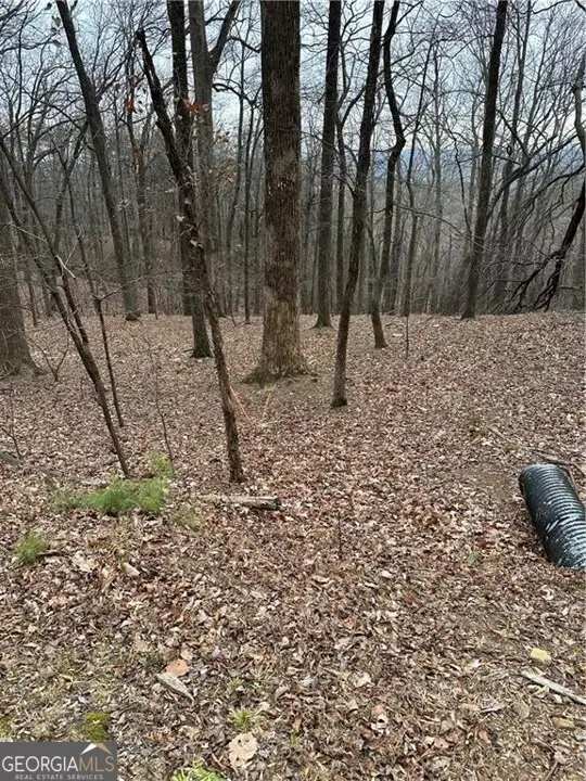 1225-1227 Oglethorpe Road, Jasper, GA 30143 - #3