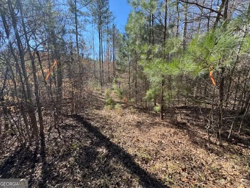 0 Brown Creek Road, Shiloh, GA 31826 - #2