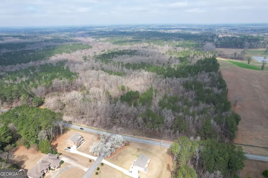 1041 Ellis Road, Griffin, GA 30223 - #3