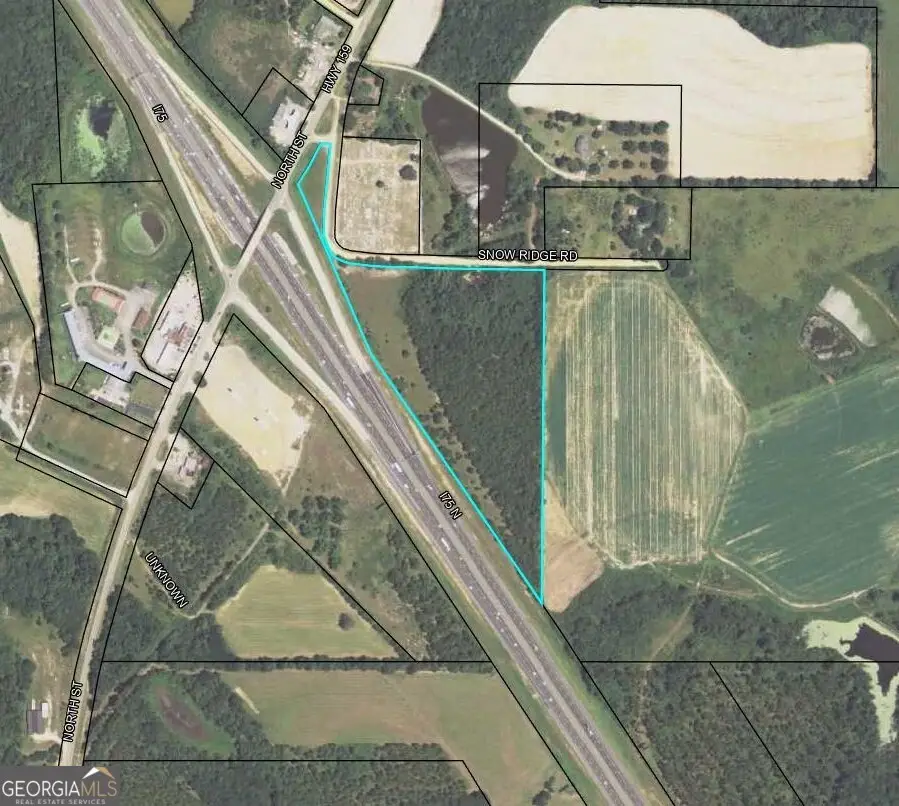 0 Snow Ridge Road, Ashburn, GA 31714 - #1