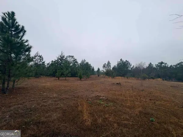 0 Hilltop Road, Baxley, GA 31513