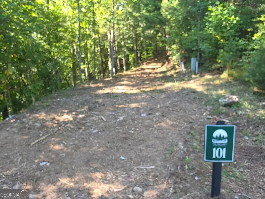 101 Cedar Road, East Ellijay, GA 30540 - #2