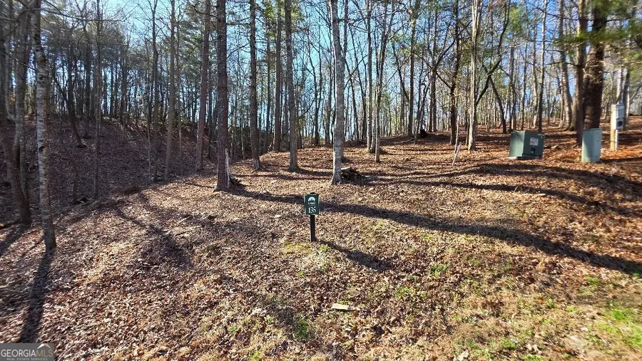 135 Red Oak Trail, East Ellijay, GA 30540 - #3