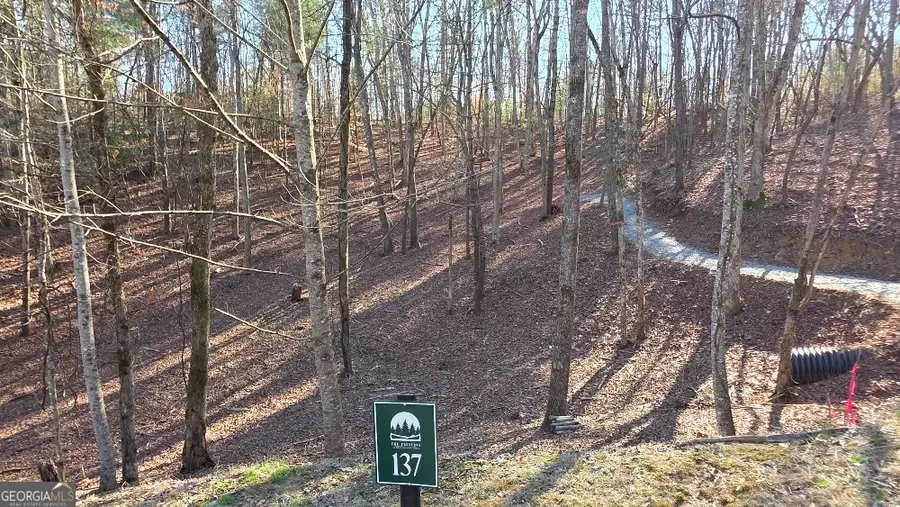 137 Red Oak Trail, East Ellijay, GA 30540 - #2
