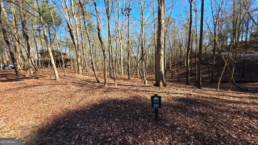 145R Red Oak Trail, East Ellijay, GA 30540 - #2