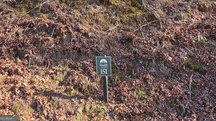 151 Rhondas Way, East Ellijay, GA 30540 - #2