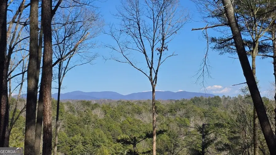 153 Rhondas Way, East Ellijay, GA 30540 - #3