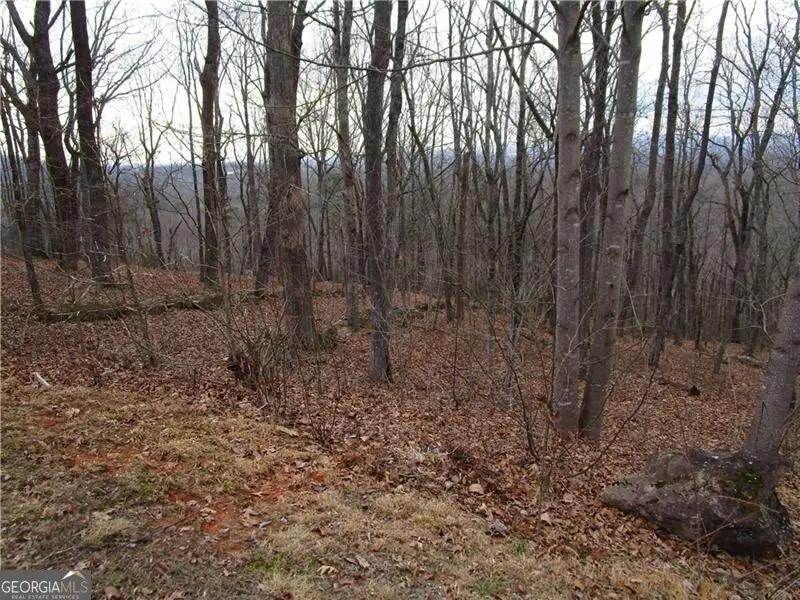 LOT 29 Long Mountain Trail, Cleveland, GA 30528 - #2
