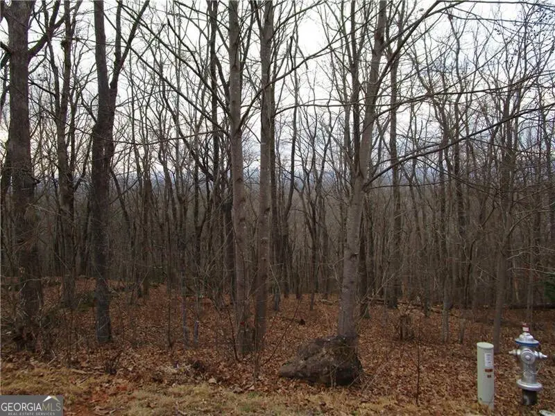 LOT 29 Long Mountain Trail, Cleveland, GA 30528 - #3