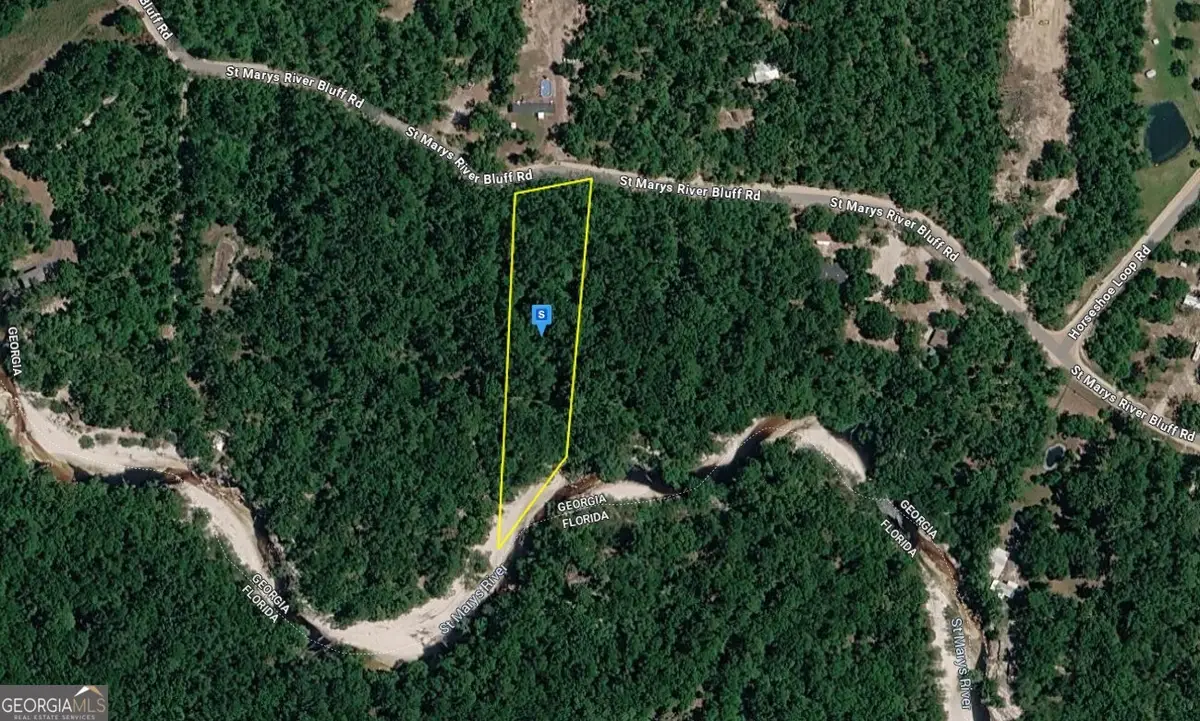 1801 St Marys River Bluff Rd, Saint George, GA 31562 - #1