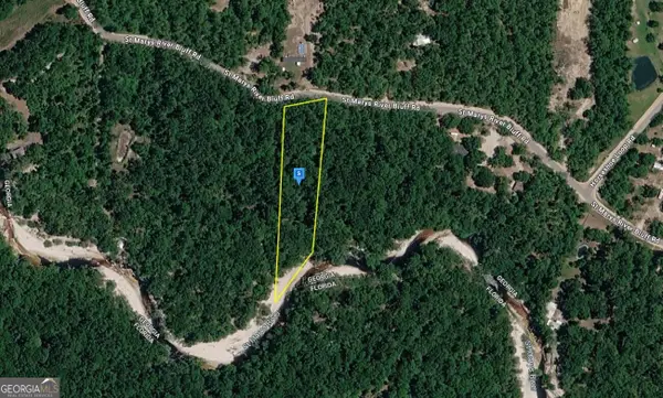 1801 St Marys River Bluff Rd, St George, GA 31562