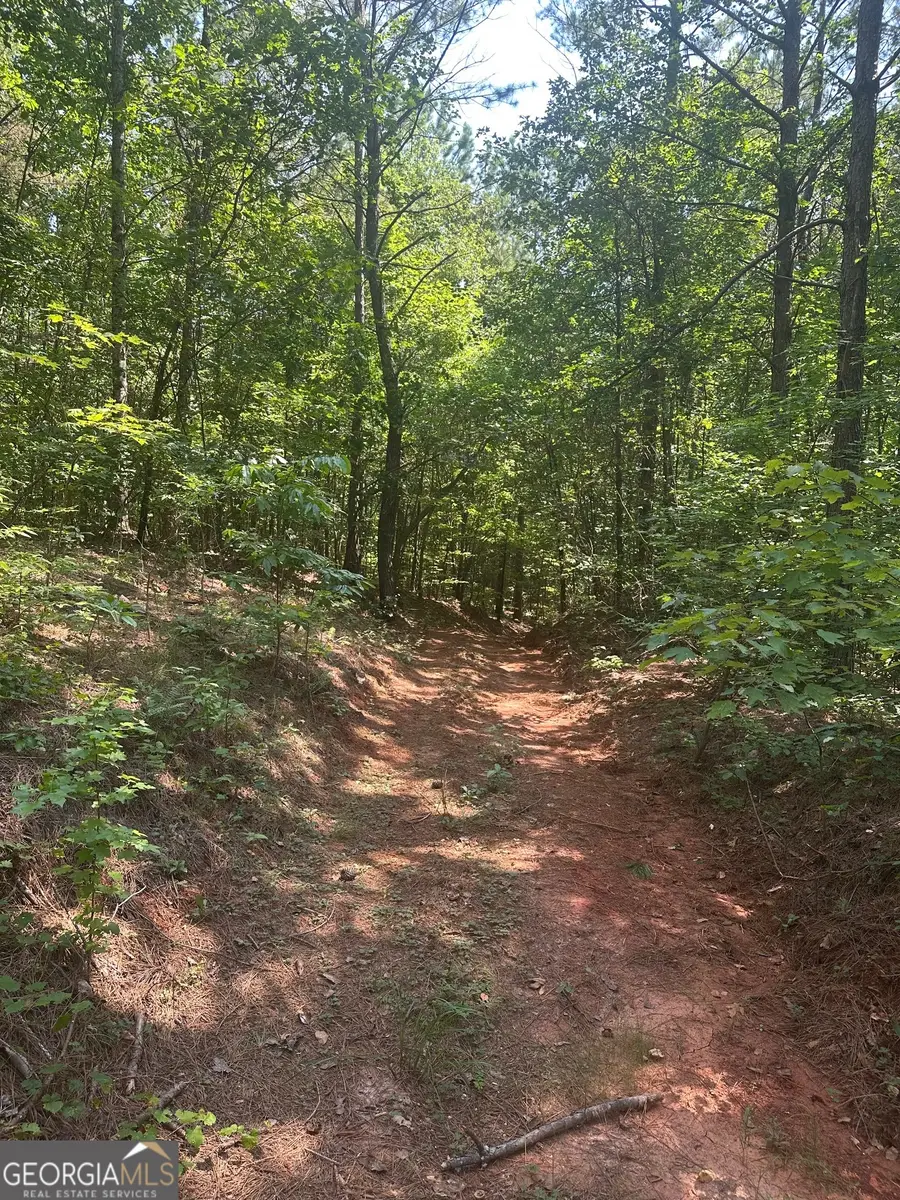 40 Patriot View Drive, Dahlonega, GA 30533 - #2
