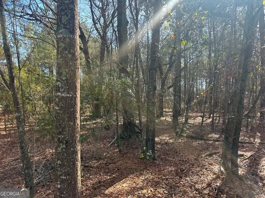 0 Old Dixie Hwy North, Newington, GA 30446 - #2