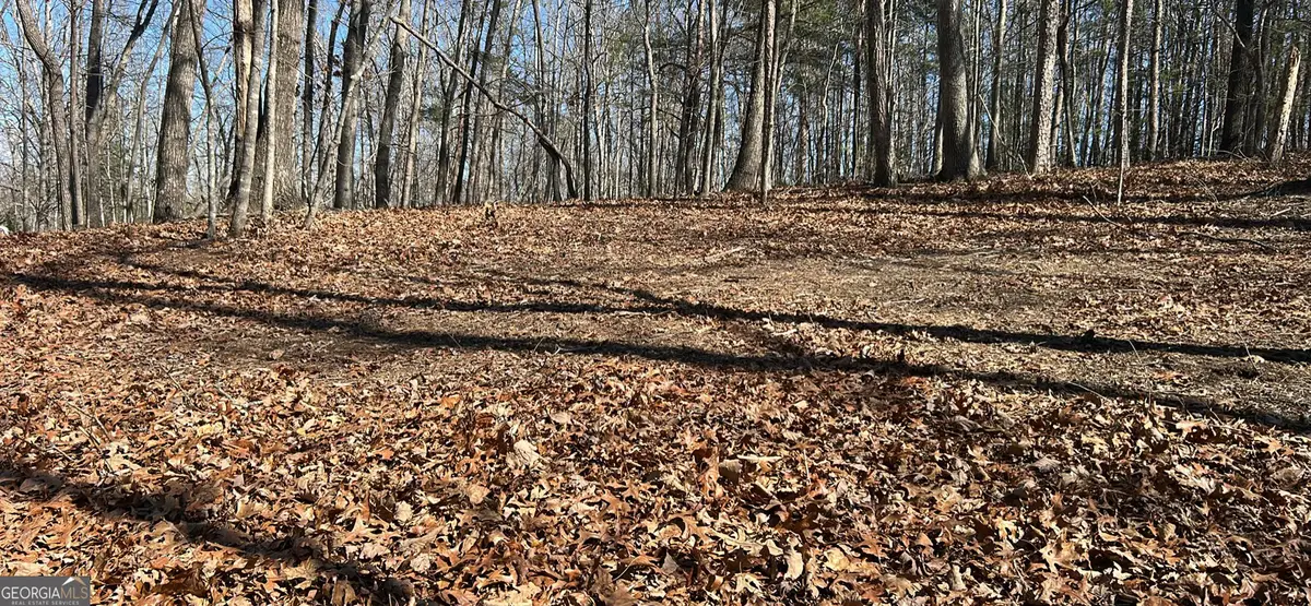 7 Ivy Hills Drive, Cleveland, GA 30528 - #1