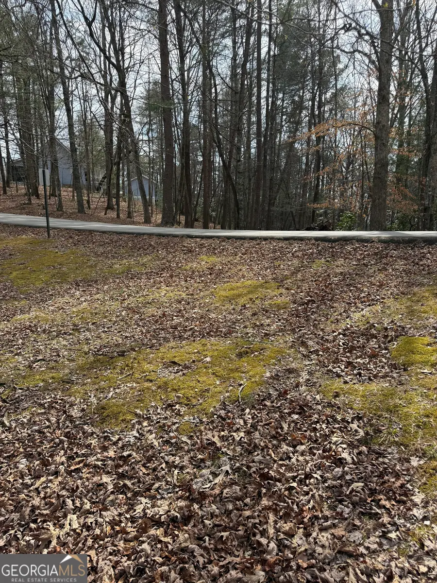 0 Seneca Drive, Ellijay, GA 30540 - #2