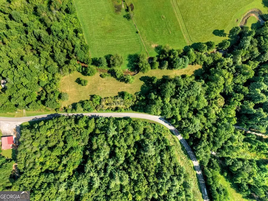 0 Hwy 2, Blue Ridge, GA 30513 - #2