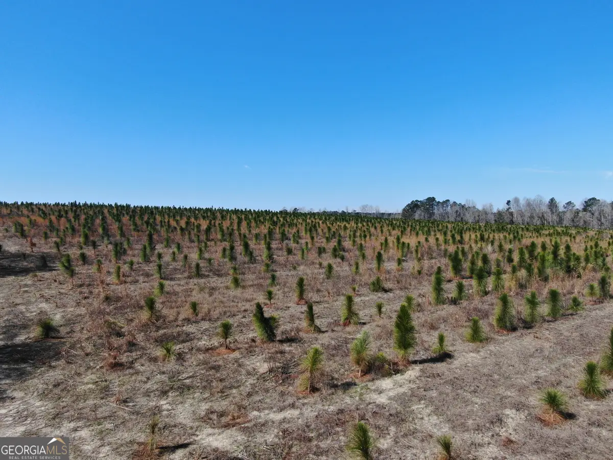 0 Airport Road, Helena, GA 31037 - #1