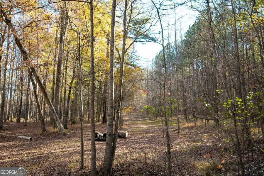 180 Stable Creek Road, Fayetteville, GA 30215 - #2