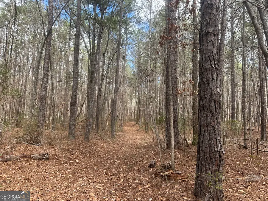 0 Gibson Rd, Talbotton, GA 31827 - #2