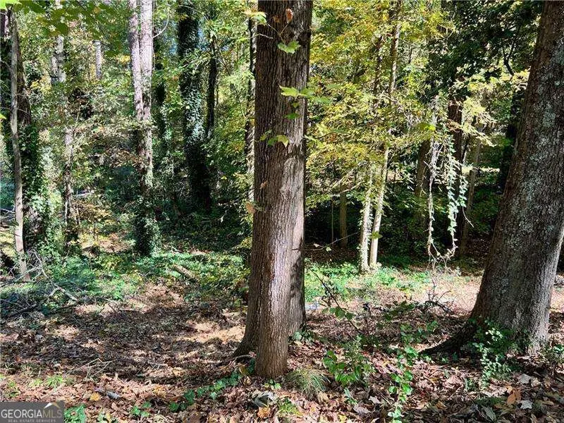 0 Randolph Circle, Kennesaw, GA 30144 - #1