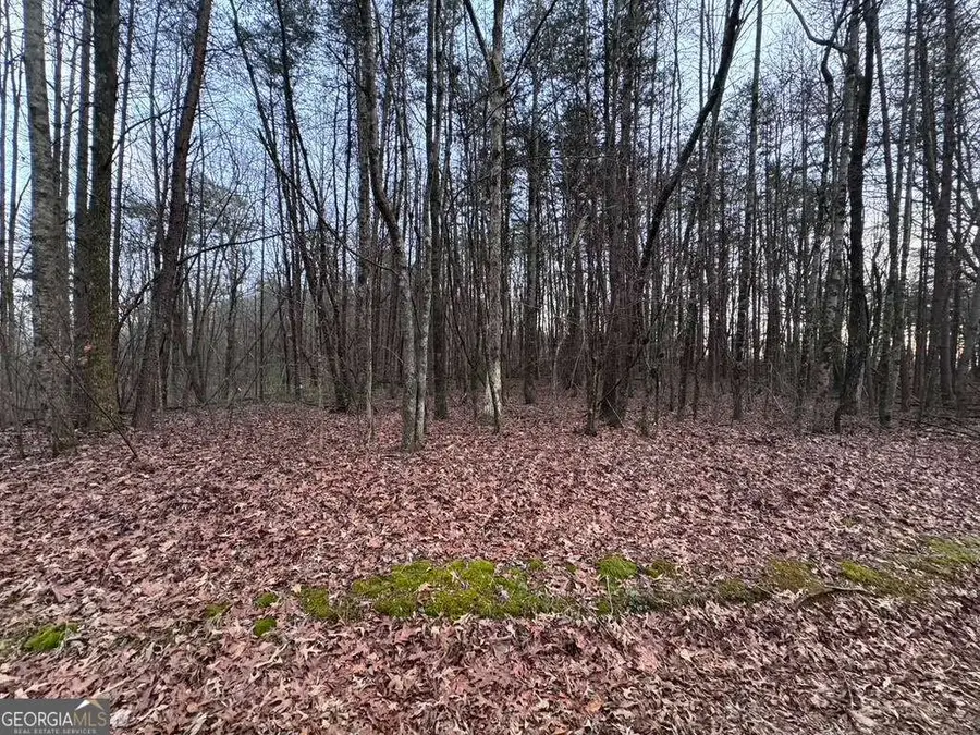 202 Emma Terrace, Dawsonville, GA 30534 - #2