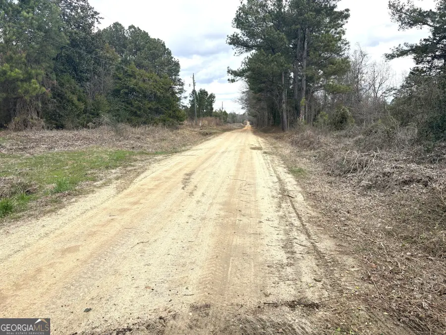 L4 Keysville-boggs Academy Road, Keysville, GA 30816 - #2