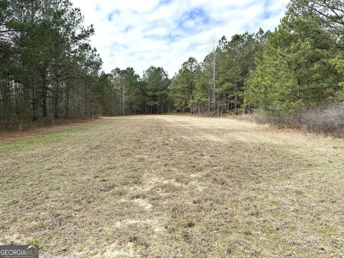 L7 W. Quaker Road, Keysville, GA 30816 - #1