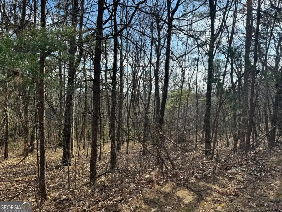 0 Scarlett Pippin Lane #1604, Clarkesville, GA 30523 - #2