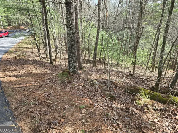 13L Sautee Trail, Sautee Nacoochee, GA 30571