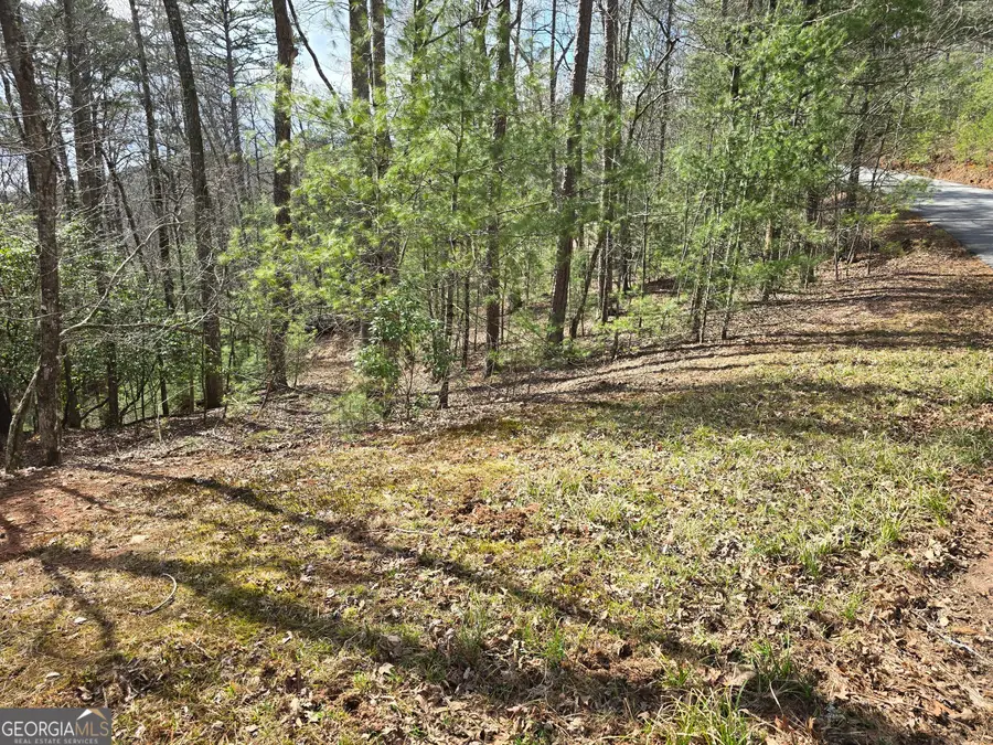 13L Sautee Trail, Sautee Nacoochee, GA 30571 - #2