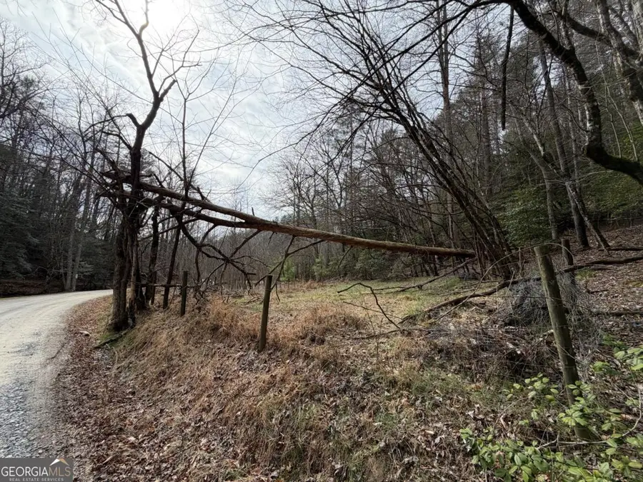 3.1 ACRE Maple Rest Lane #6,7, Ellijay, GA 30540 - #2