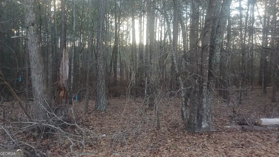 90 Harville Road, Covington, GA 30016 - #2