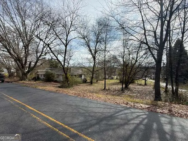 5621 Church Street, Flowery Branch, GA 30542 - #3