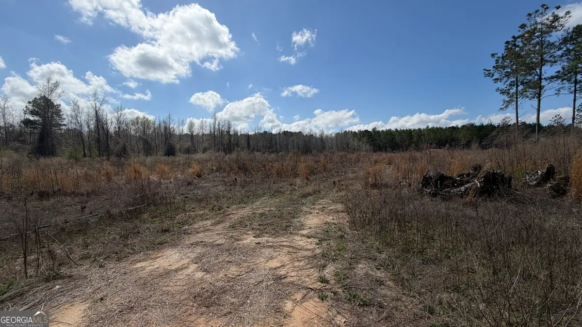 3557 Antioch Church Road, Eastman, GA 31023 - #1