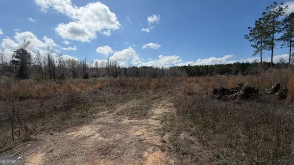 3557 Antioch Church Rd, Eastman, GA 31023