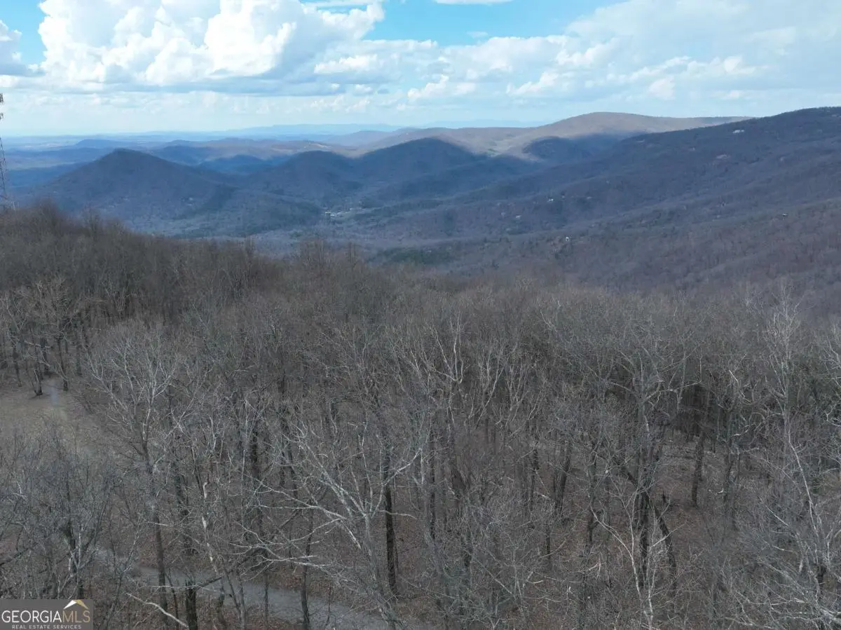 TRCT C Old A T Approach Trail, Jasper, GA 30143 - #1