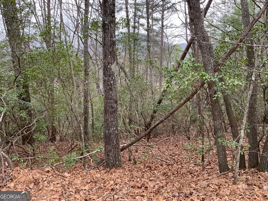 0 Prospector Place Trail, Sautee Nacoochee, GA 30571 - #2