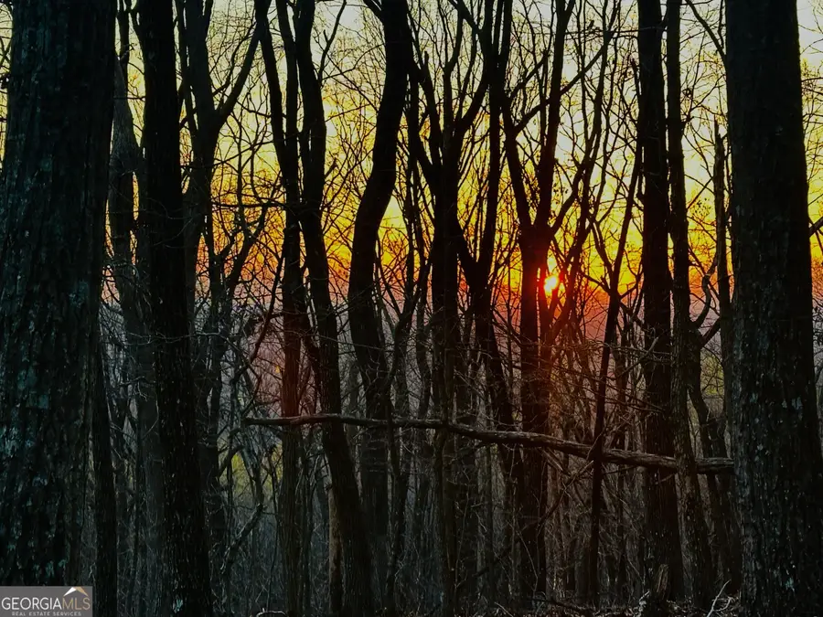 LOT 2 Mount Mincie Road, Murrayville, GA 30564 - #3