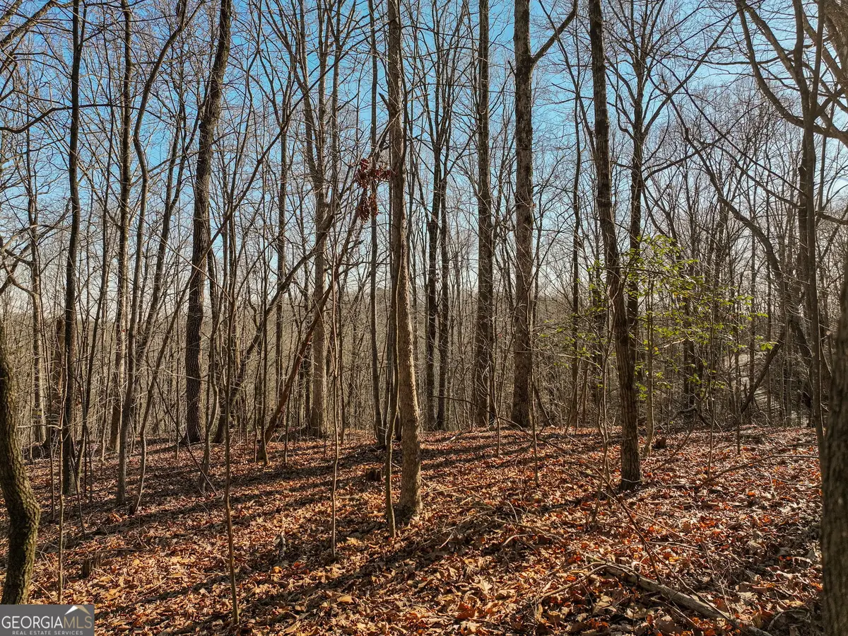 LOT 5 Mount Mincie Road, Murrayville, GA 30564 - #1